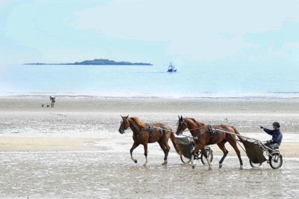 Mobile-Home 100M Plage Utah Mme Surget Sainte-Marie-du-Mont  Zewnętrze zdjęcie